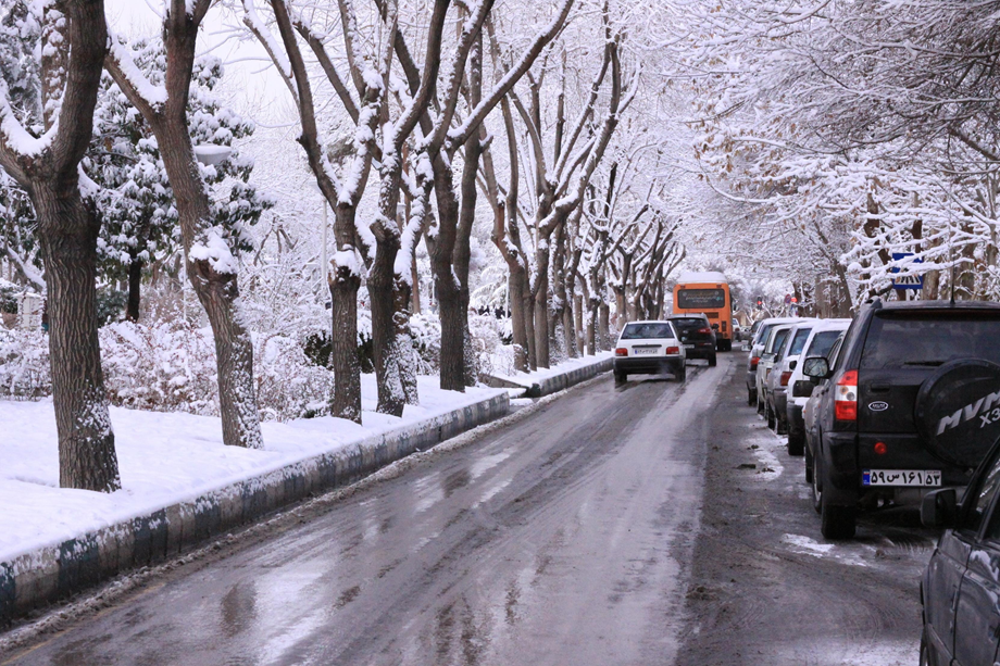 Używając właściwych opon zimowych, możesz uniknąć zapłacenia mandatu