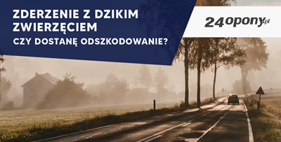 Zderzenie z dzikim zwierzęciem - czy dostanę odszkodowanie?