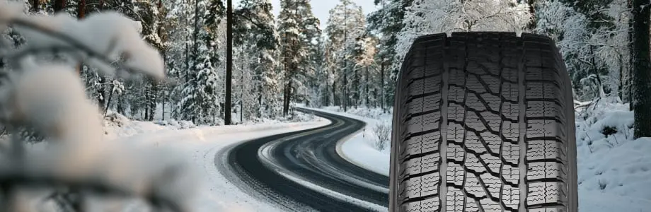 Firestone Vanhawk 2 Winter EVO &ndash; zimowa opona do samochod&oacute;w dostawczych i nowoczesnych flot transportowych