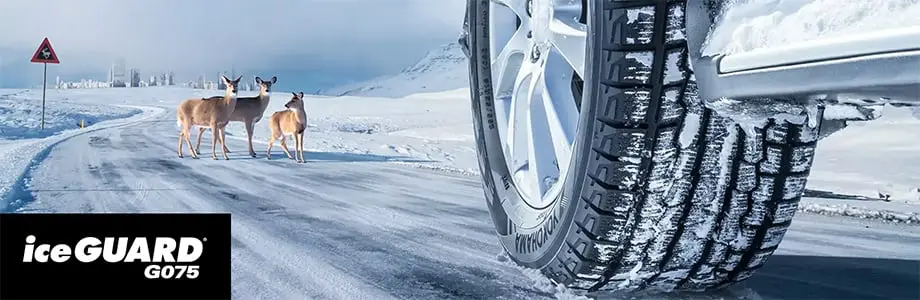 Yokohama iceGUARD G075 &ndash; kierunkowa budowa bieżnika opony zimowej