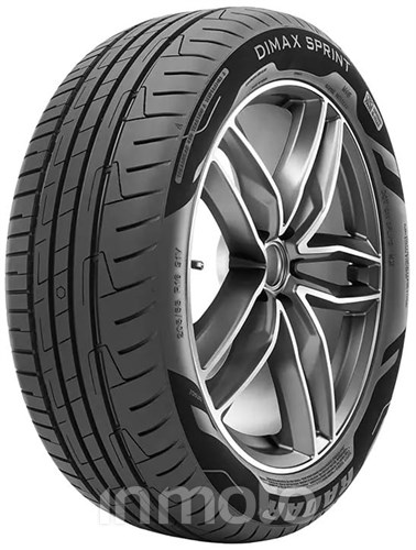 Radar Dimax Sprint 195/65R15 95 H XL