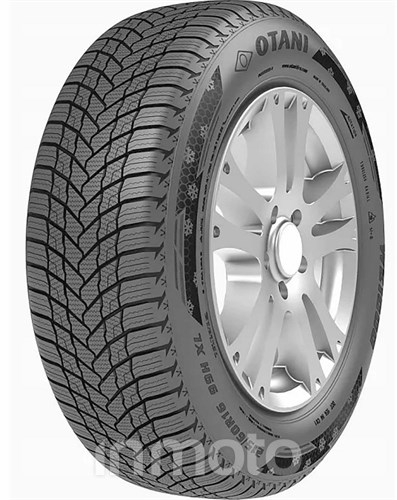 Otani WE1000 185/65R15 88 T 3PMSF