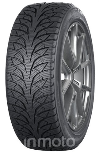 Rydanz Nordica NR01 245/45R20 103 V XL 3PMSF