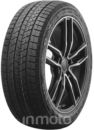 Double Star Winterking DW16 205/55R17 95 T XL 3PMSF