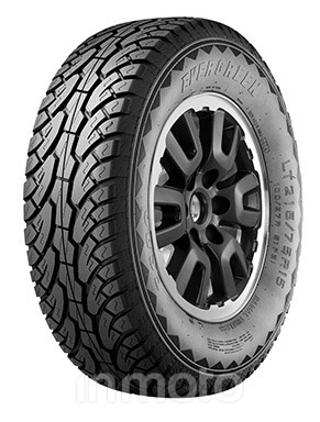 Evergreen ES-89 265/70R16 110/107 R