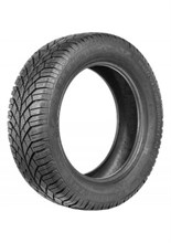 Domin TS830 205/55R16 91 T