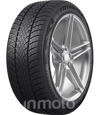 Triangle WinterX TW401 195/55R20 95 H  FR