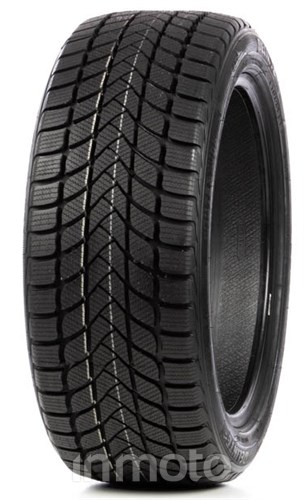 Delinte Winter WD6 205/50R17 93 H XL