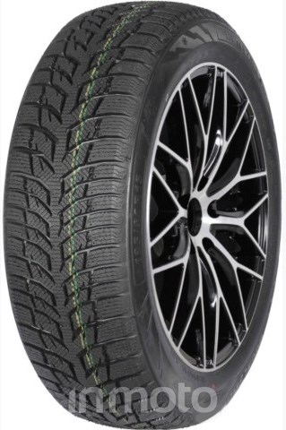 Autogreen Snow Chaser 2 AW08 205/55R16 91 T