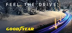Goodyear-2025